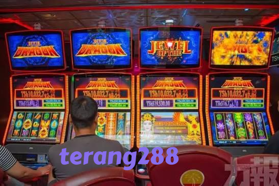 terang288 editorial visual